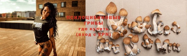 ALPHA PVP Бородино