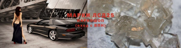ALPHA PVP Бородино