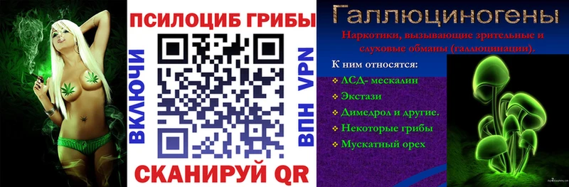 Галлюциногенные грибы GOLDEN TEACHER Тогучин