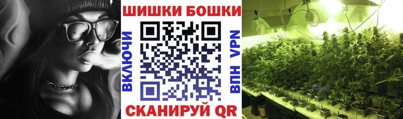 купить  сайты  mega маркетплейс  Бошки Шишки марихуана  Тогучин 